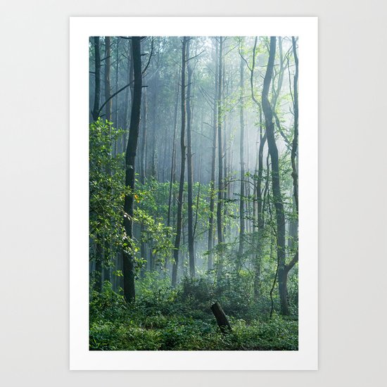 Enchanted Woodland Art Print