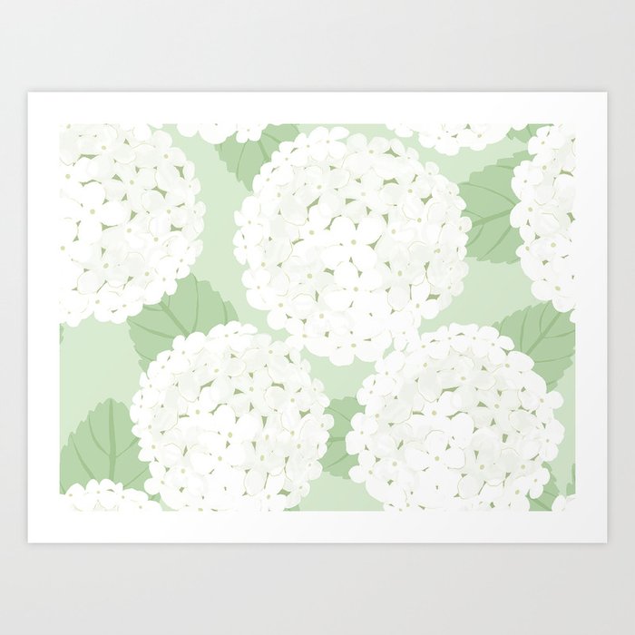 WHITE HYDRANGEAS Art Print