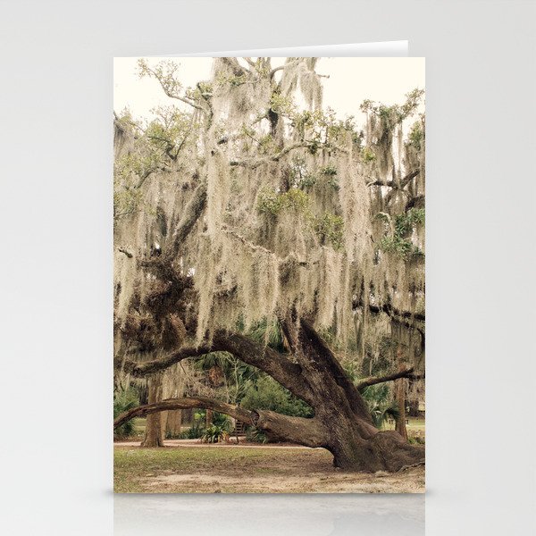 The Tree Who Whispers Stationery Cards