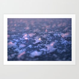 Ice crystals sunset Art Print