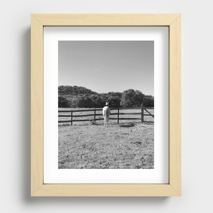 Horse Recessed Framed Print