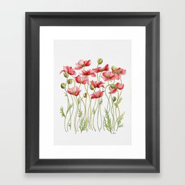 Red Poppies, Illustration Framed Art Print