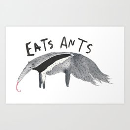 Anteater Art Print
