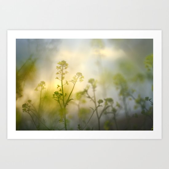 forest of flowers at sunset Art Print