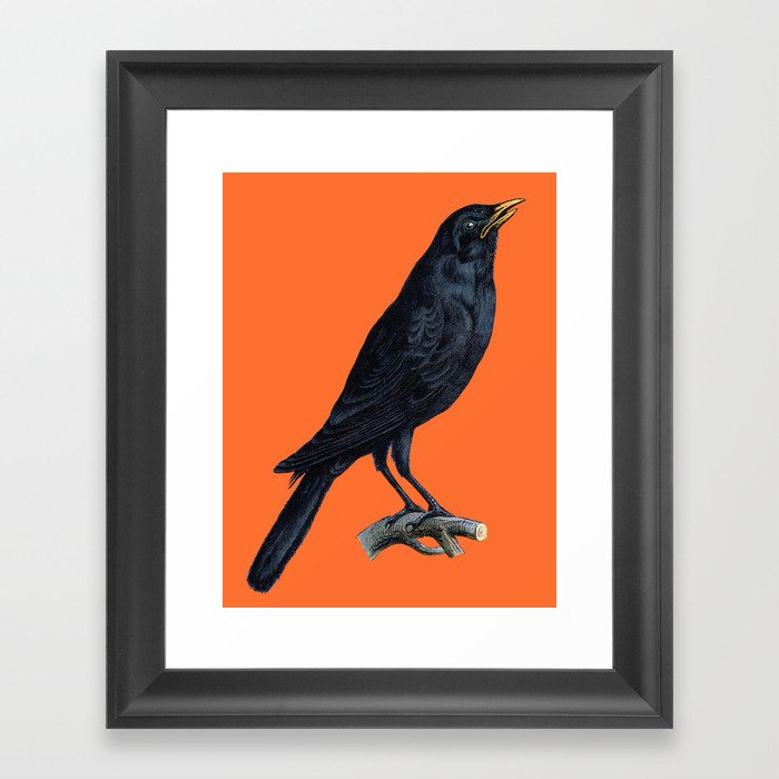 Vintage Raven Framed Art Print