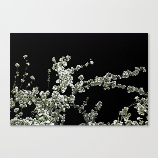 Night Blossom Canvas Print