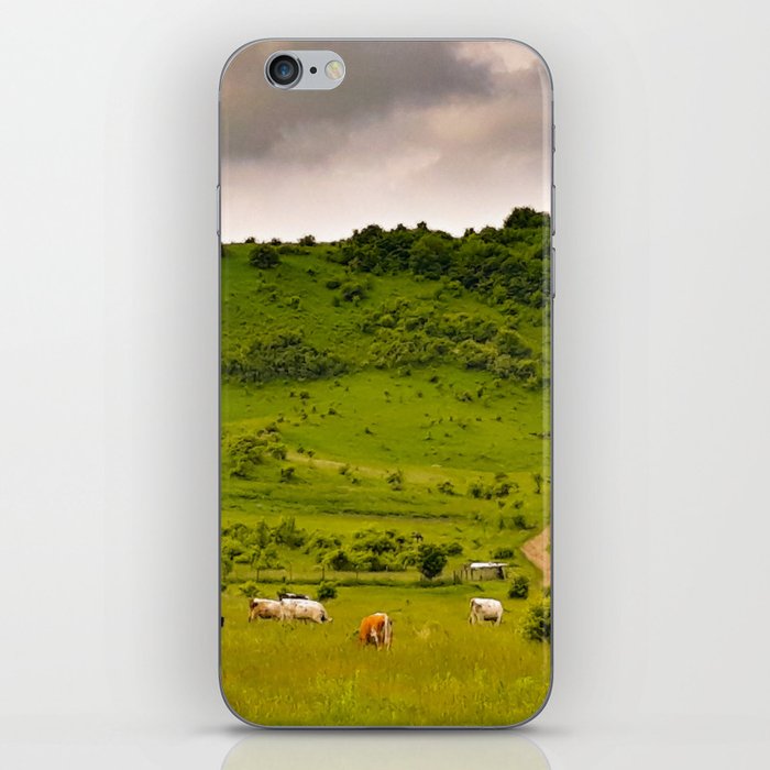 Countryside landscape iPhone Skin