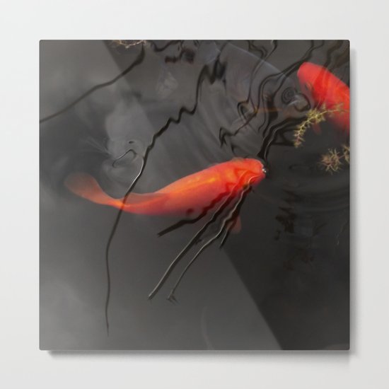 goldfish II Metal Print