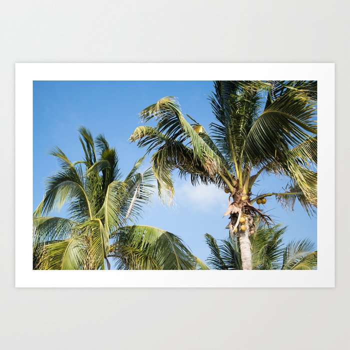 Caribbean Palms #3 #tropical #wall #art #society6 Art Print