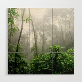 Brazil Photography - Moisty Rain Forest With Wet Leaves Wood Wall Art