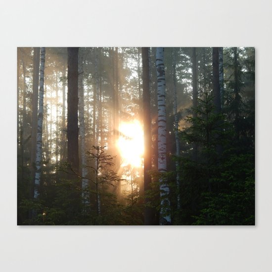 Woods Canvas Print