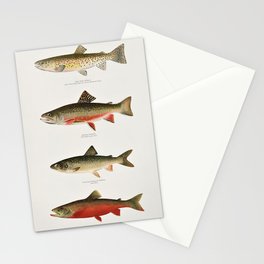 Illustrated North American Freshwater Trout Game Fish Identification Chart Stationery Card