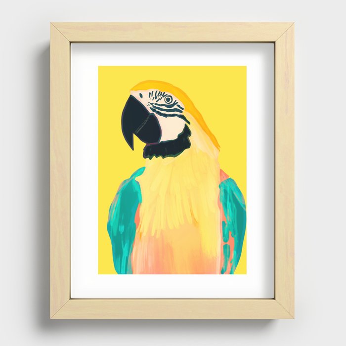 Parrot 3 Recessed Framed Print