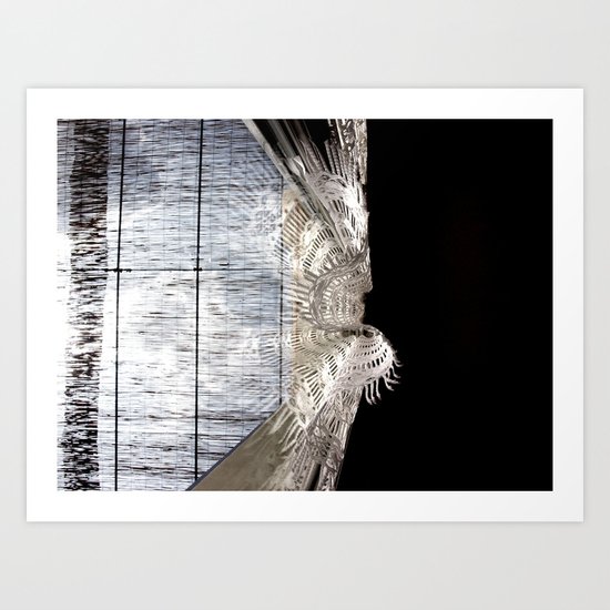 Through the glass Art Print