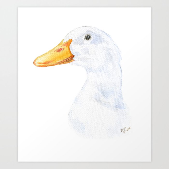 White Duck Watercolor Painting Art Print By Susanwindsor Society6