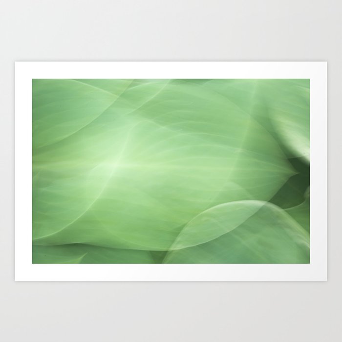 Abstract long exposure color block green art print - movement with hosta leaves - nature photography Art Print