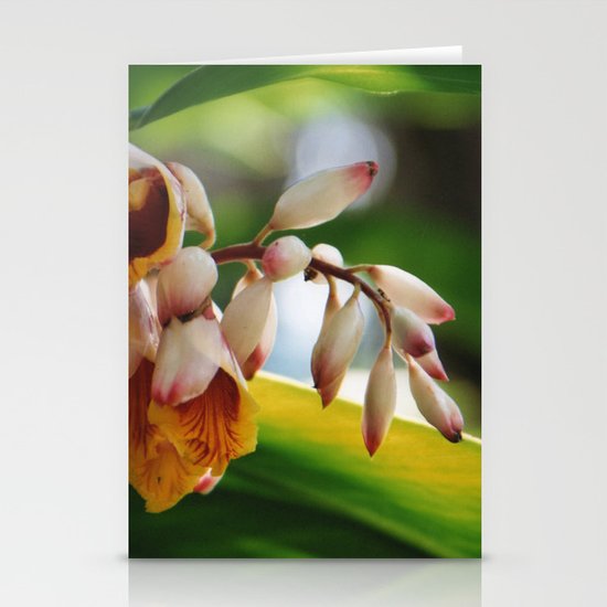 nature's beauty Stationery Cards