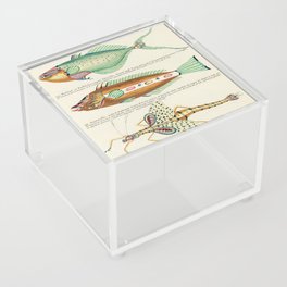 fish by Louis Renard Acrylic Box