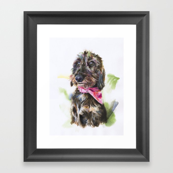 Lulu The Wire Haired Standard Dachshund 115 Framed Art Print By