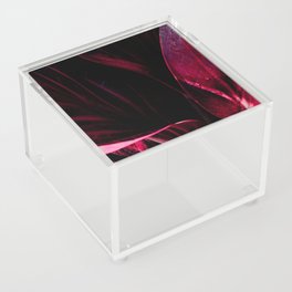 Exotic Anthurium Leaves In Red Acrylic Box