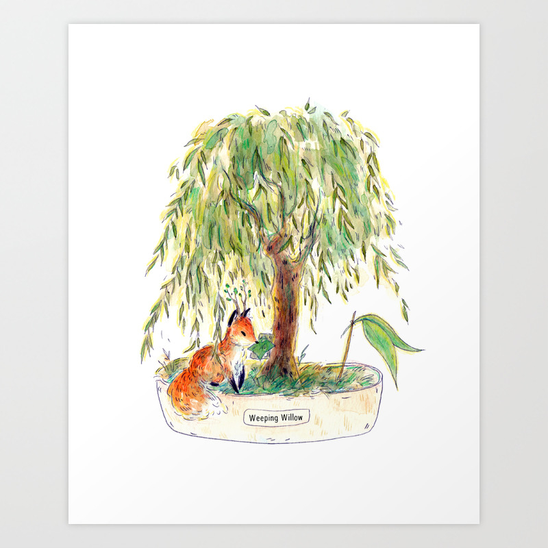 Weeping Willow Bonsai Art Print By Rumpledcrow Society6