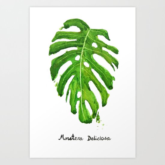 Monstera Deliciosa Art Print