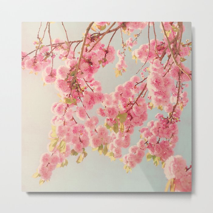 spring blossoms Metal Print