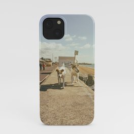 Dogwalk    iPhone Case