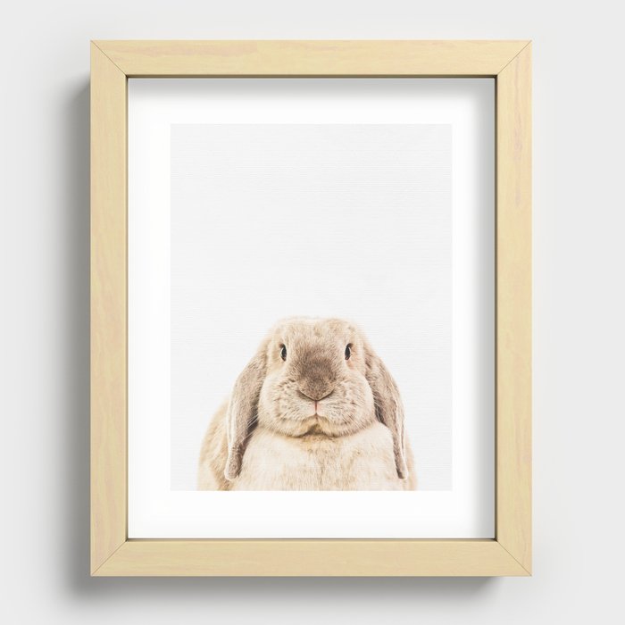 Bunny Rabbit Recessed Framed Print