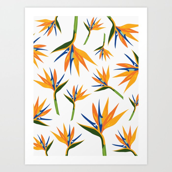 Bird of Paradise Kunstdrucke Bird of Paradise Kunstdrucke