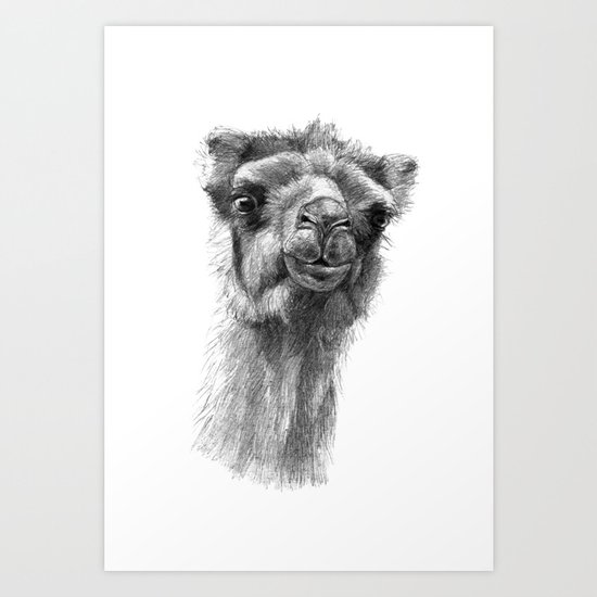 Bactrian Camel SK0103 Art Print