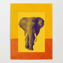 Yellow elephant in the desert Poster