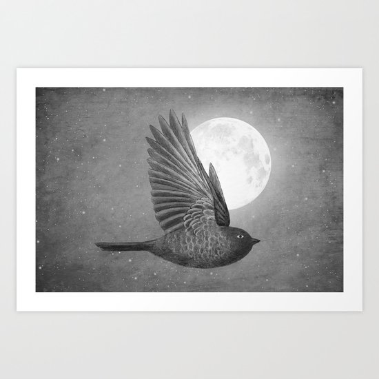 Night Bird Art Print
