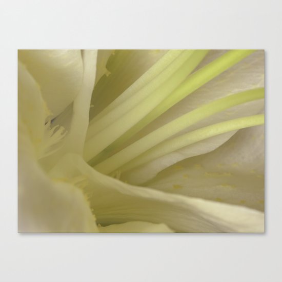 Beauty within Canvas Print