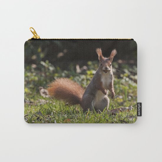 Do you have a nut - Cute squirrel animal on #Society6 Carry-All Pouch