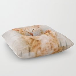Brown cat Floor Pillow