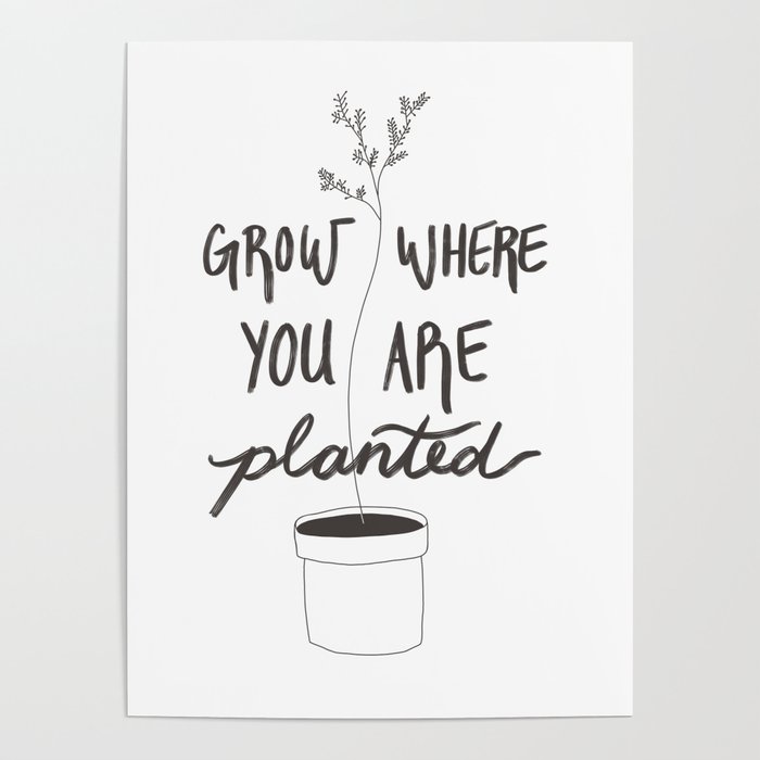 grow where you are planted Poster