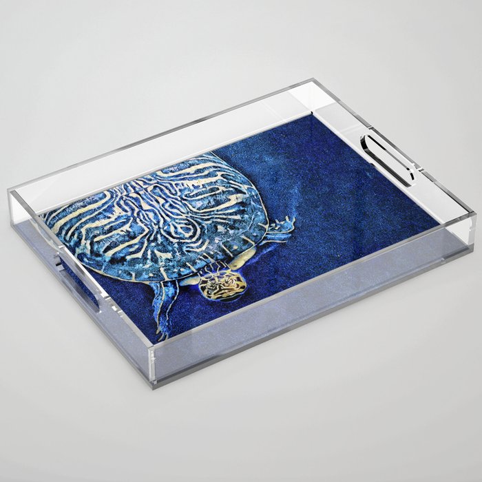 The Wisdom of the Sea Turtle Acrylic Tray