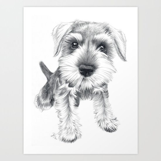 Schnozz the Schnauzer Art Print