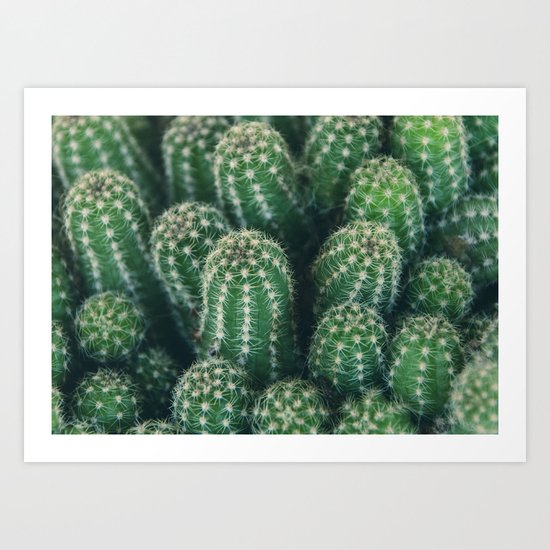 Cactus nature XI Art Print
