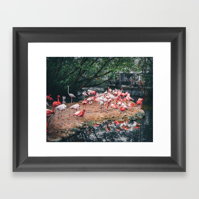 Flamingos by the Lake: The Graceful Wonders of Nature's Pink Beauties Framed Art Print