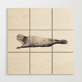 Harbour Seal Wood Wall Art