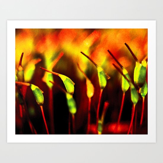 Moss Art Print