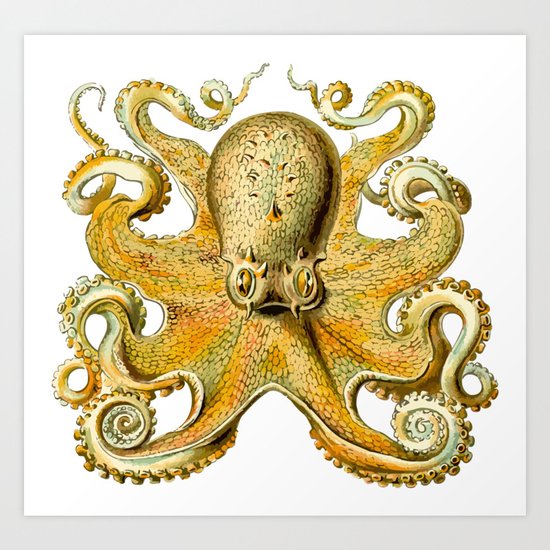 mandalorian reversible octopus