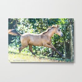 Magical Horses Metal Print