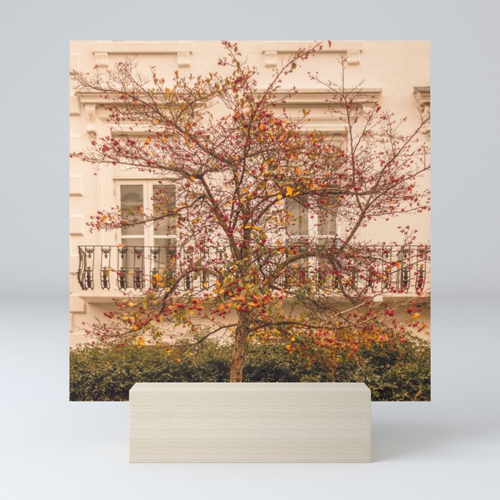 London Autumn tree | Street photography  Mini Art Print