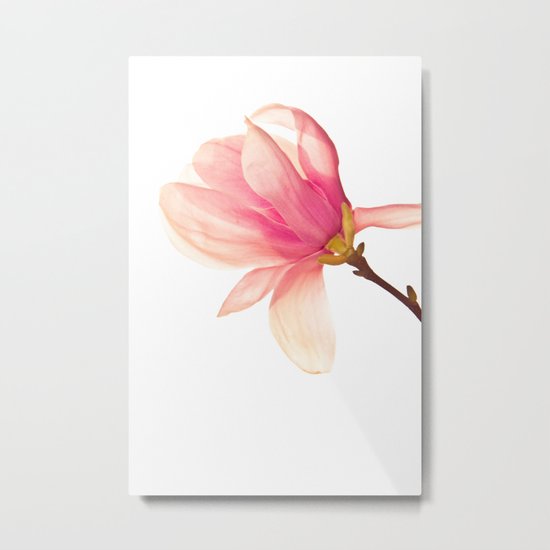 Pink Flower Metal Print