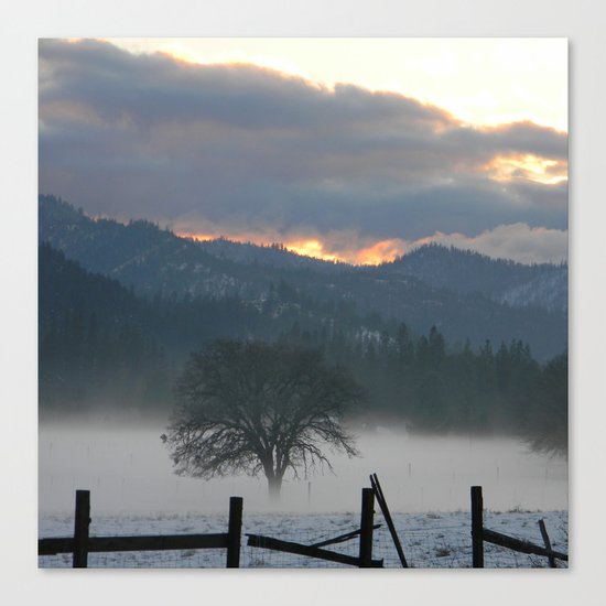 Misting Fog in the evening... Canvas Print