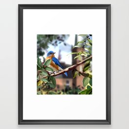 Grandma Blue Bird Framed Art Print