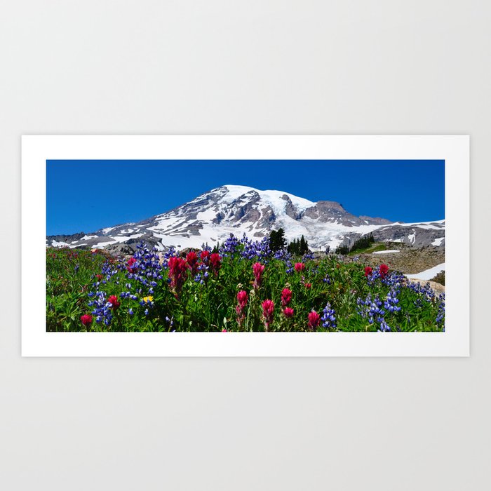 Mountain Wildflower Panoramic Art Print